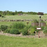 Kräuerspirale im Park und Blick auf Wiese