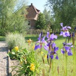 Spirale auf Burg mit Blumen